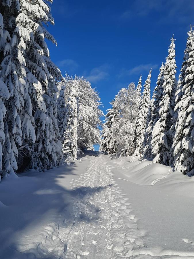 Renner * Altenberg
