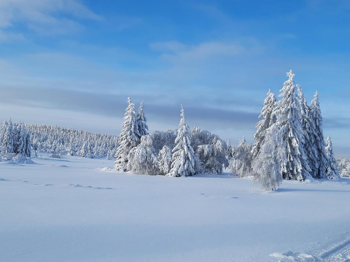 Appartamento Renner Altenberg (Osterzgebirge)